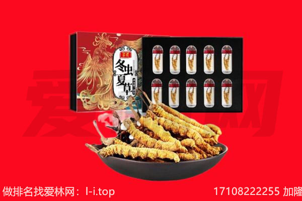 汤原县回收虫草.jpg